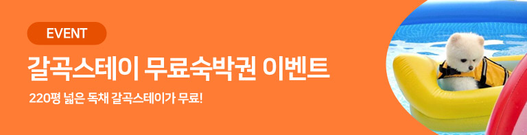 250903_갈곡스테이