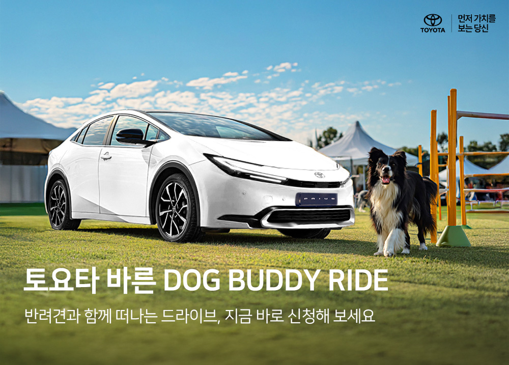 250910도요타