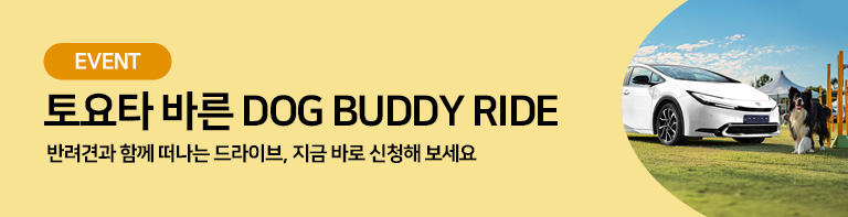 250910도요타