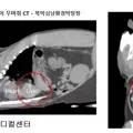 쿨펫동물병원 이마트검단점