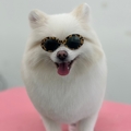 https://peton.me/data/file/addPlace/thumb/말랑멍무_39_1.jpg
