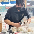 https://peton.me/data/file/addPlace/thumb/야옹아놀자_순천점_50_1.jpg