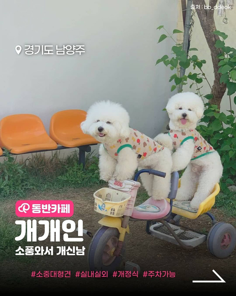개개인