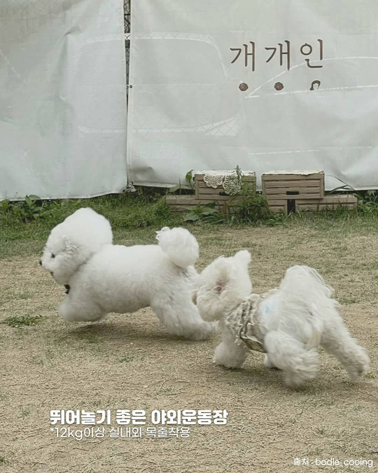 개개인