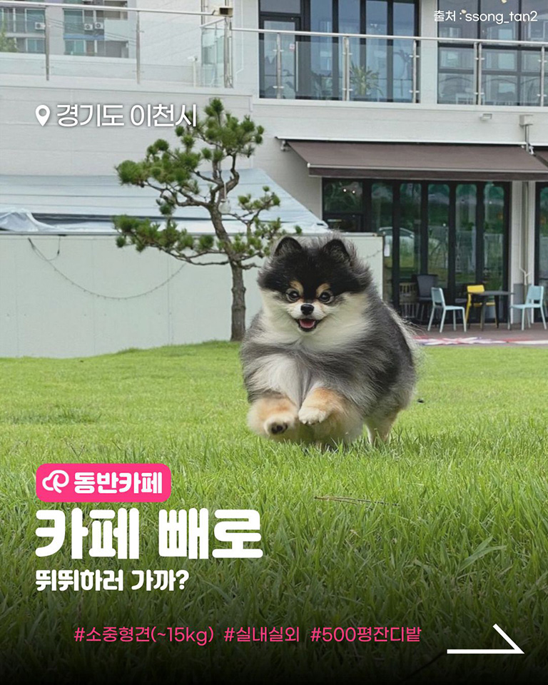 카페빼로