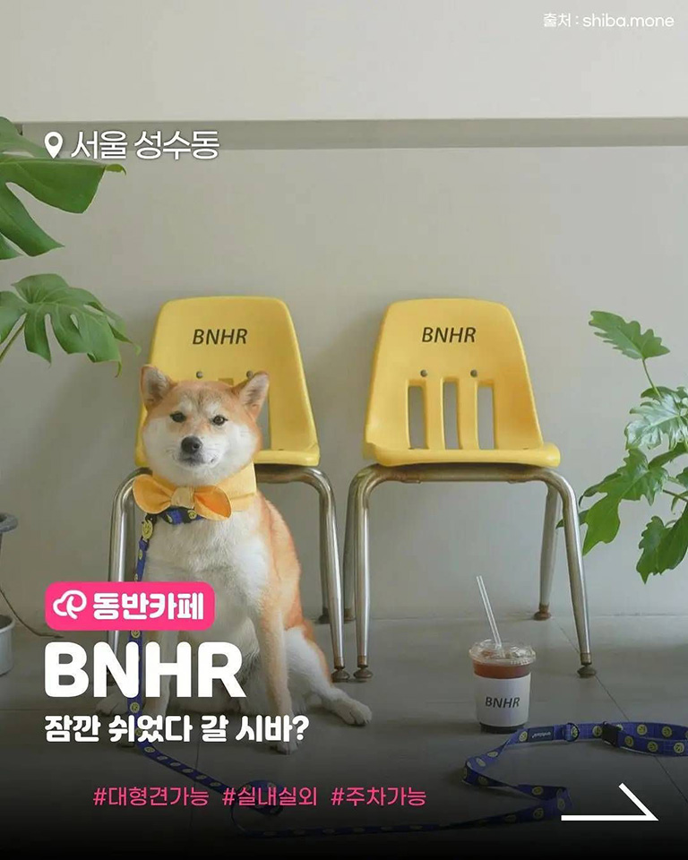 BNHR