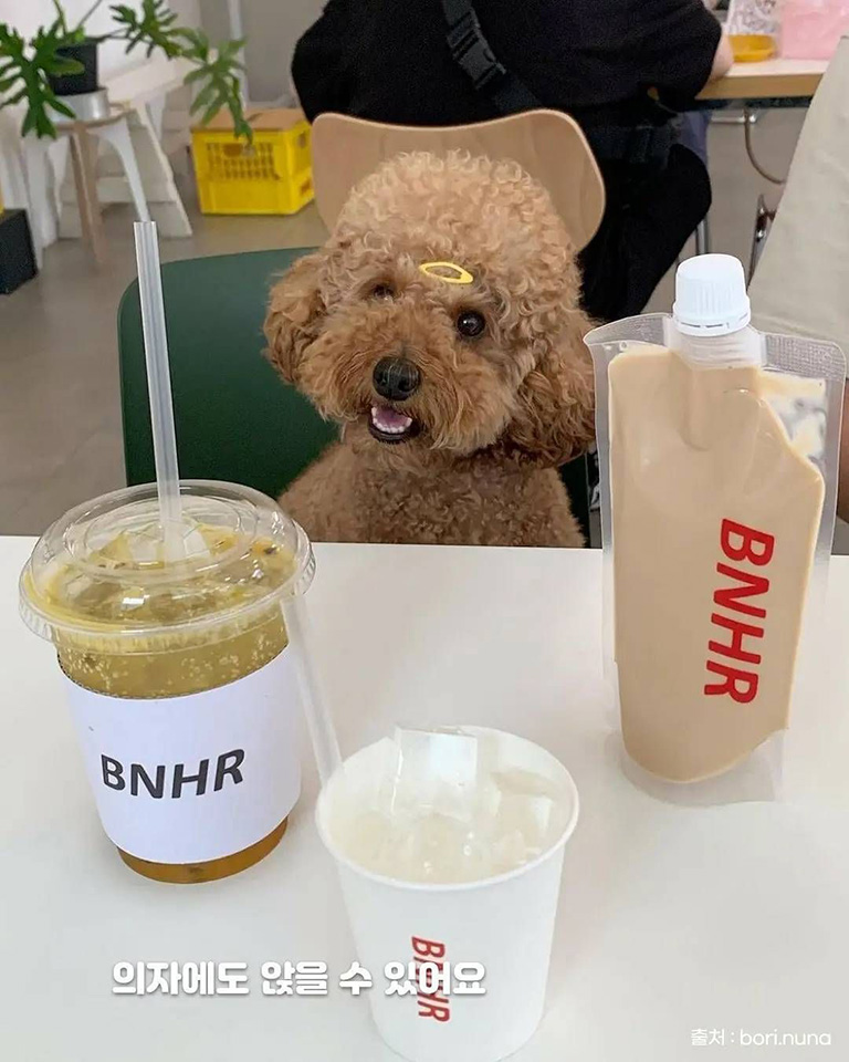 BNHR