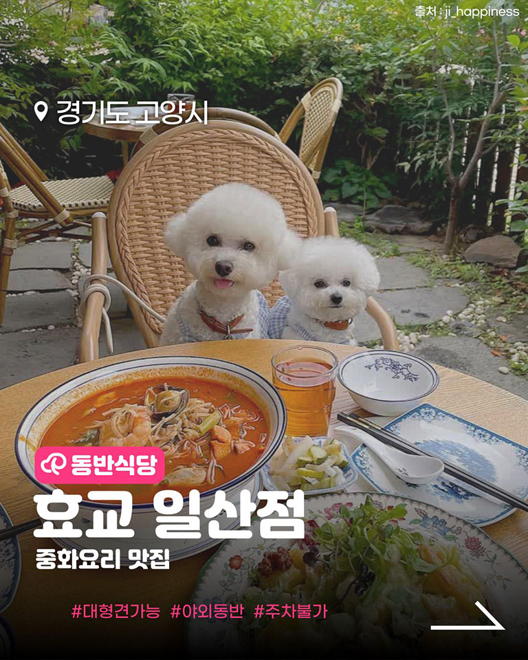 효교