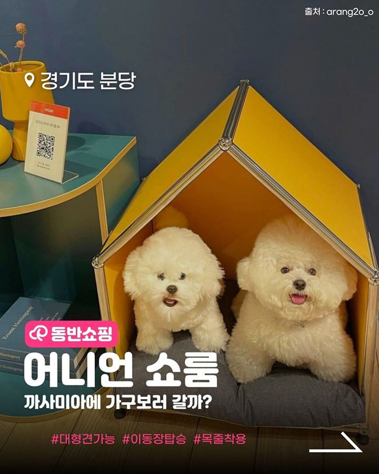 어니언쇼룸