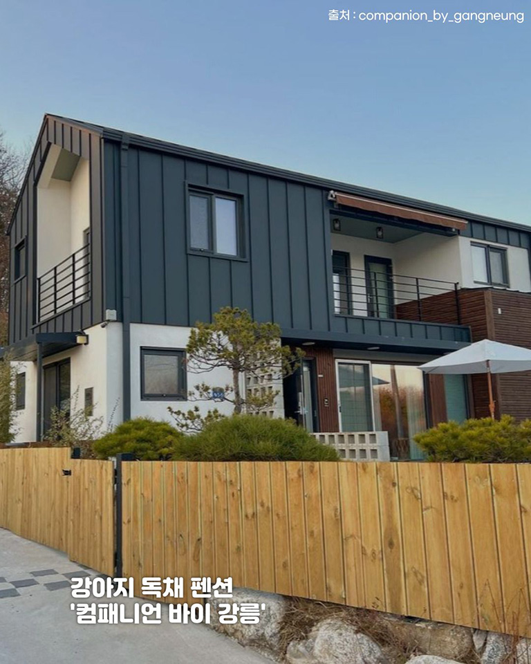 컴페니언바이 강릉