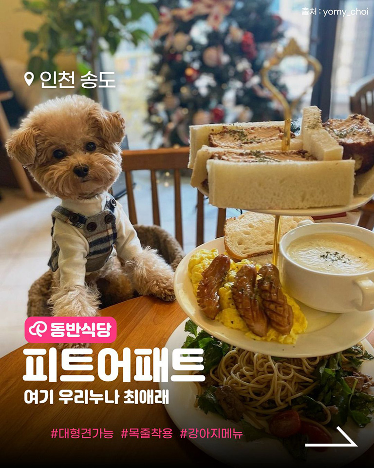 피트어패트