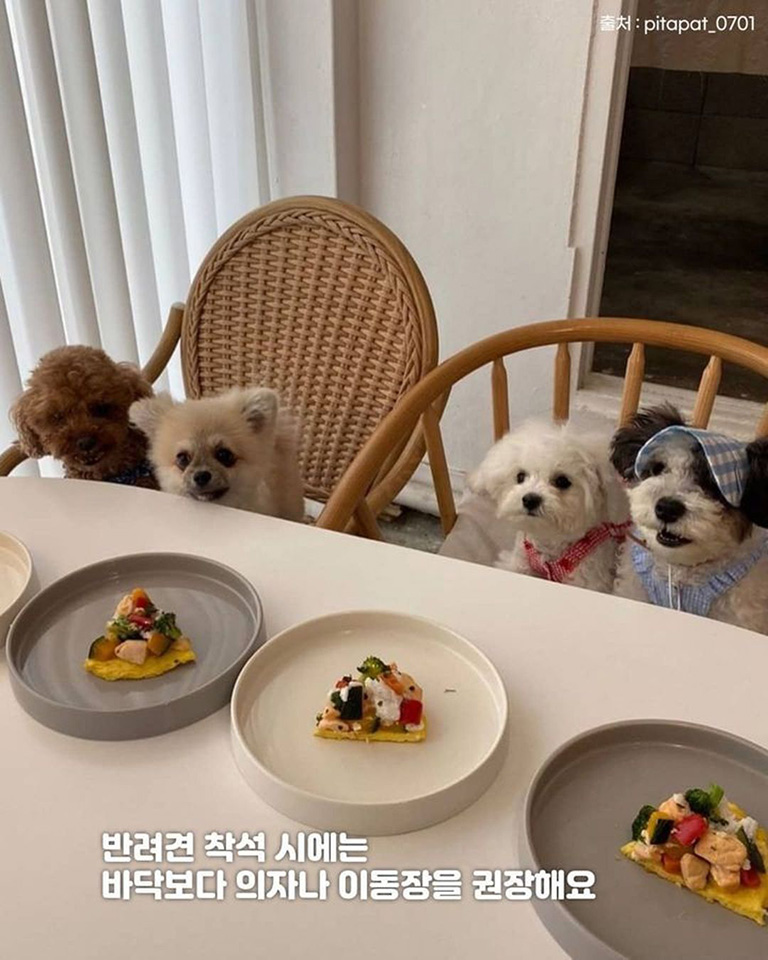 피트어패트