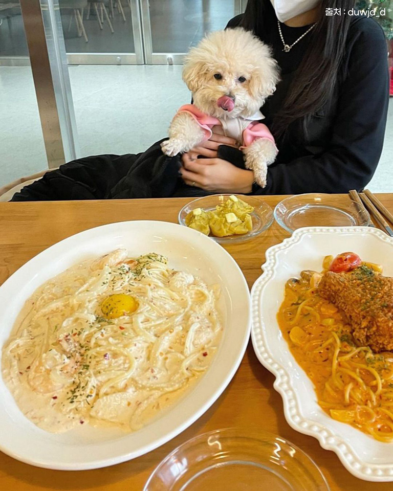 피트어패트