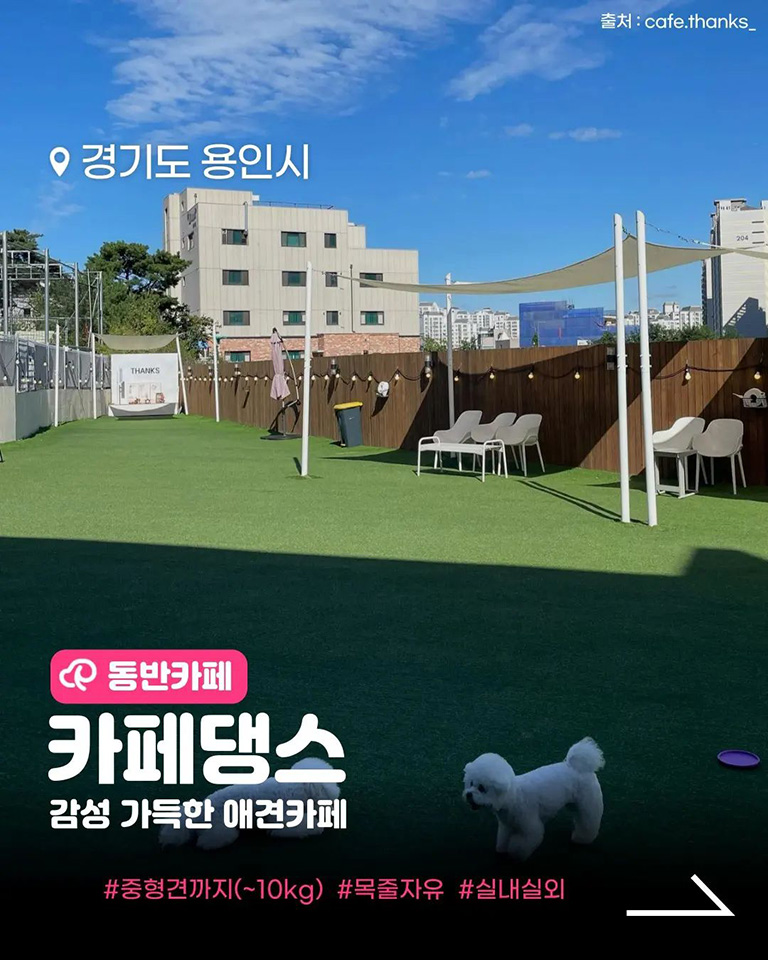 카페댕스