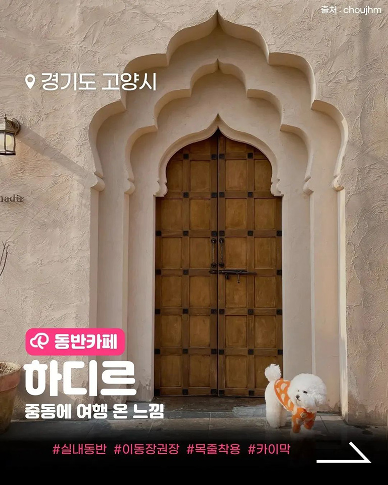 하디르 커피