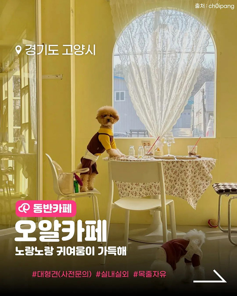 오알카페