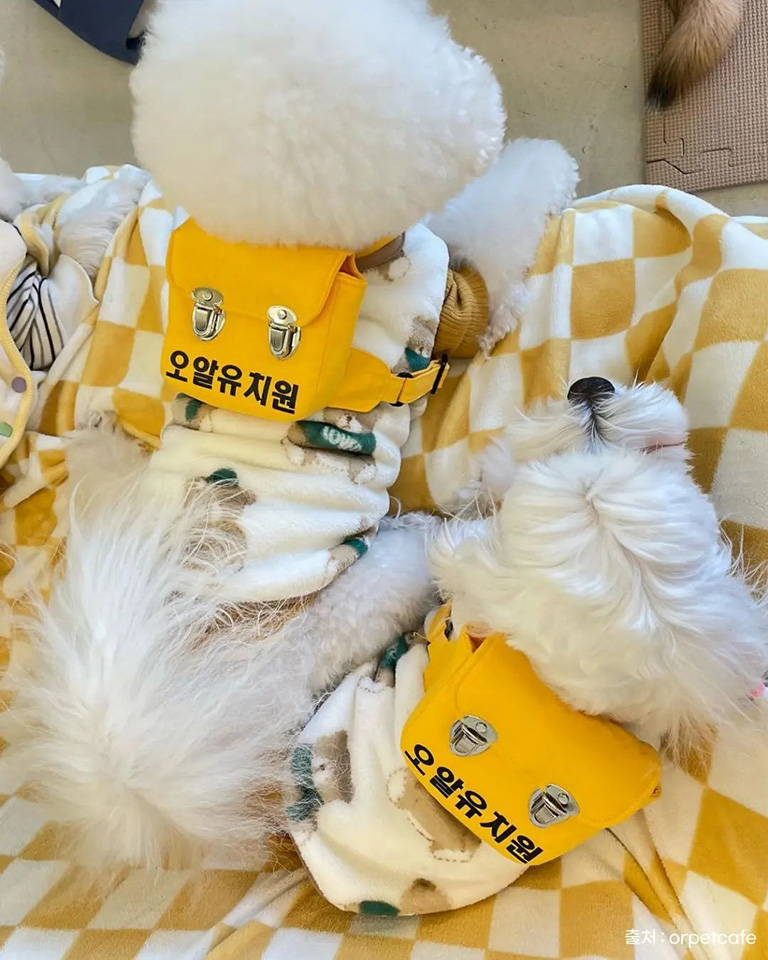 오알카페