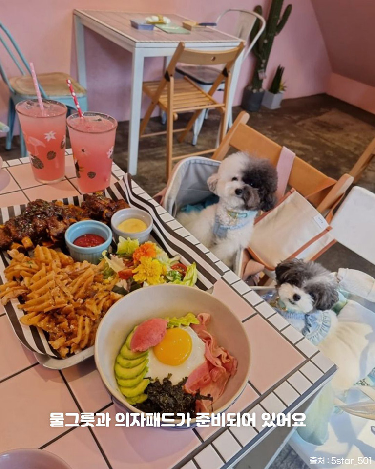 훌라훌라