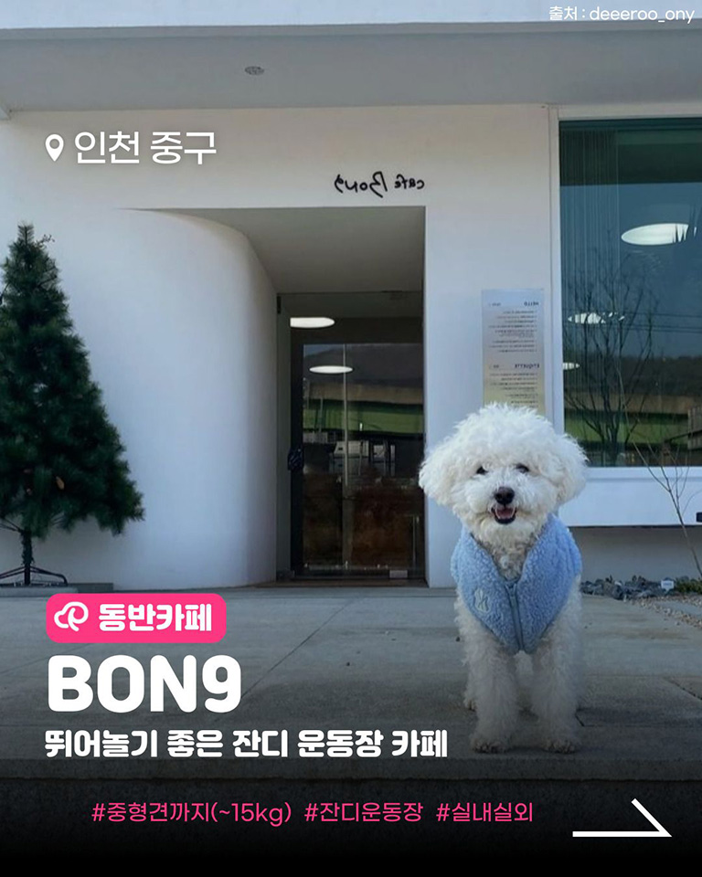 BON9