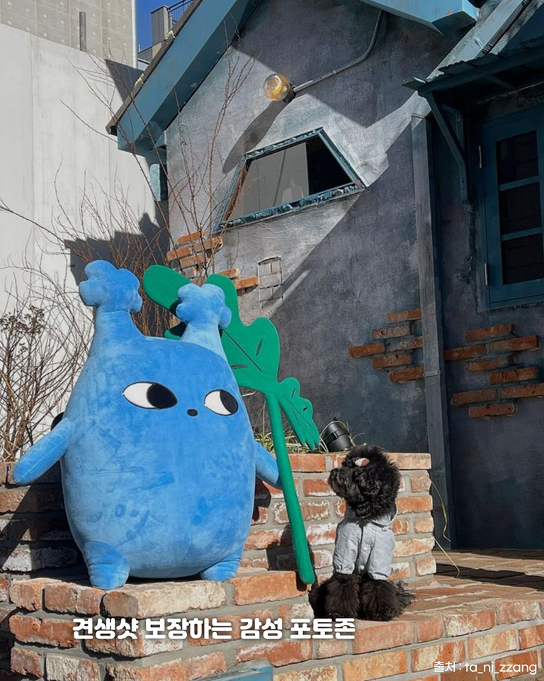 도토리