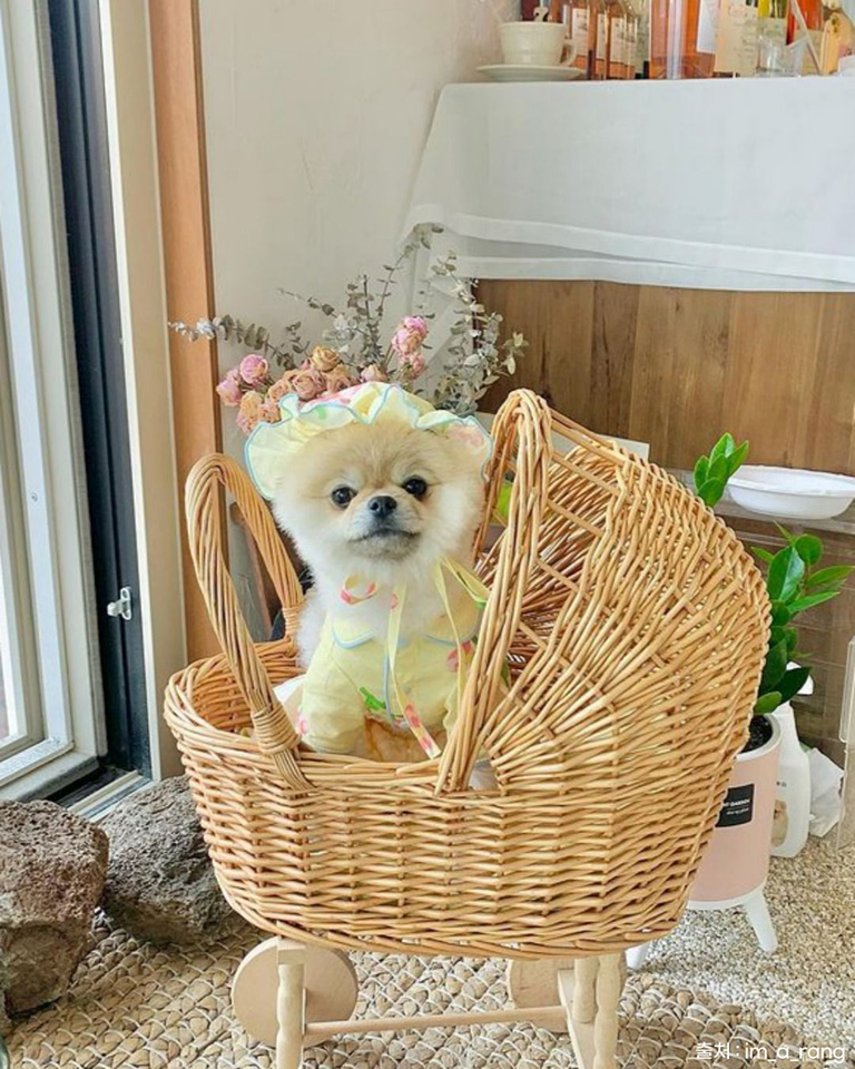 제주역
