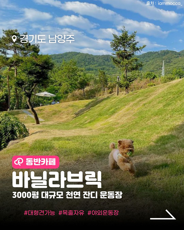 바닐라브릭