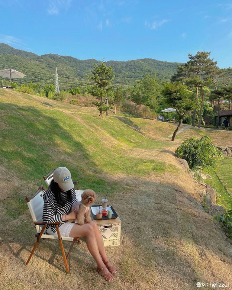 바닐라브릭