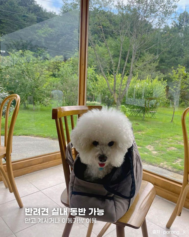 카페 여주
