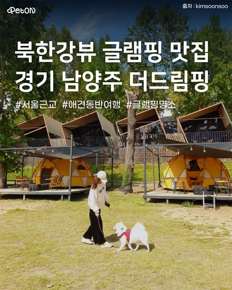 더드림핑 글램핑