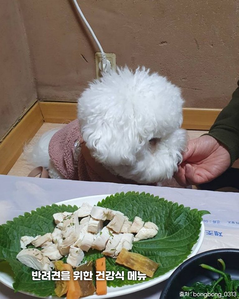 시골집