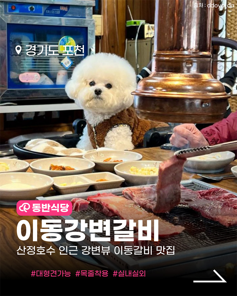 이동강변갈비