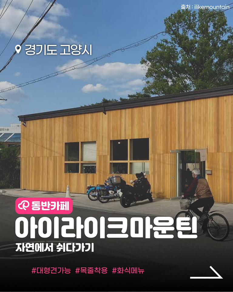 아이라이크마운틴