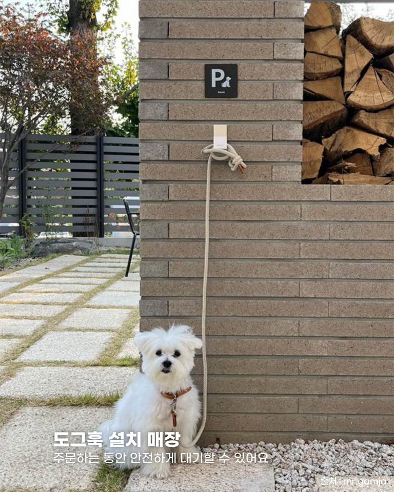 로이테