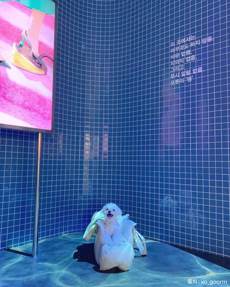 시몬스 테라스점