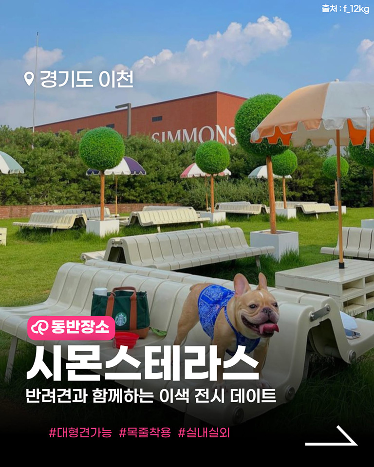 시몬스 테라스점