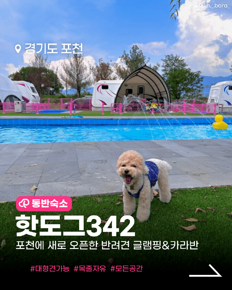 핫도그342