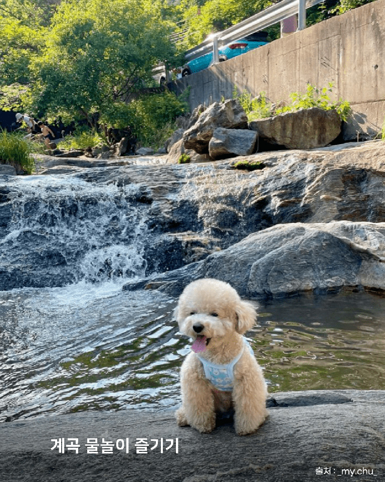 아르페지오