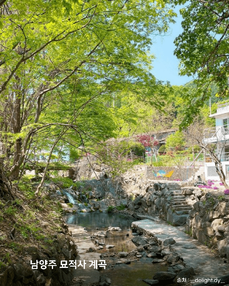 아르페지오