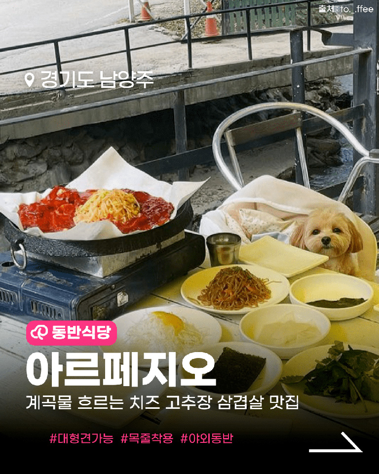 아르페지오
