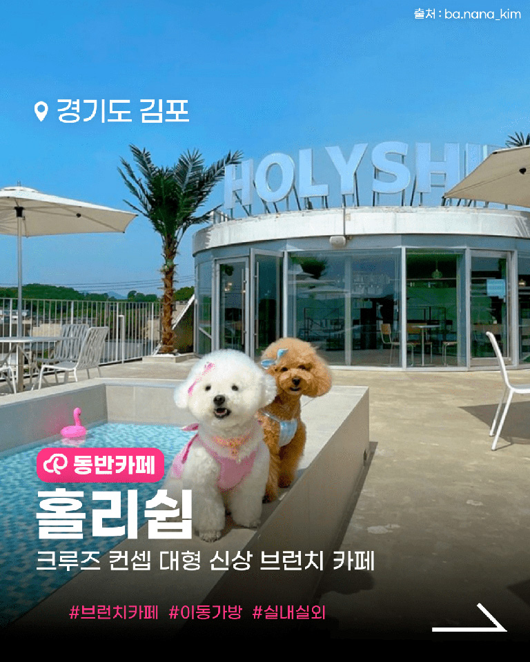 홀리쉽