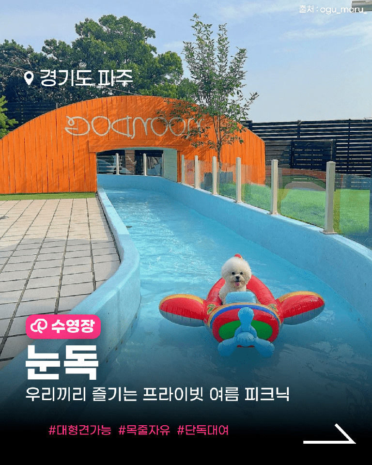 눈독