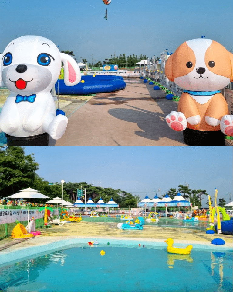 보령 머드축제