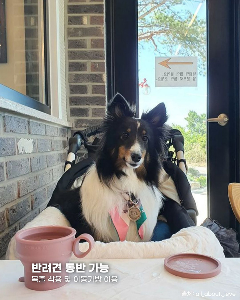 바람꽃해녀마을