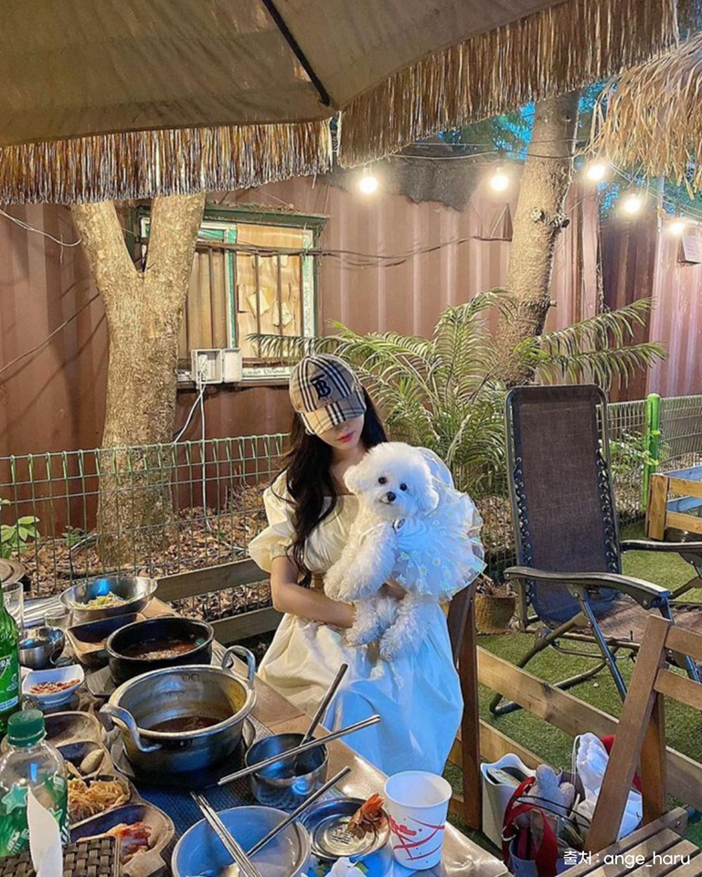 개똥치는사람들