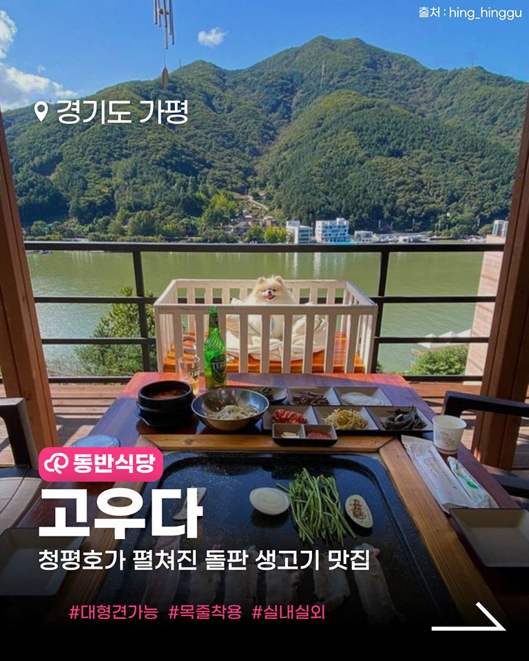 고우다