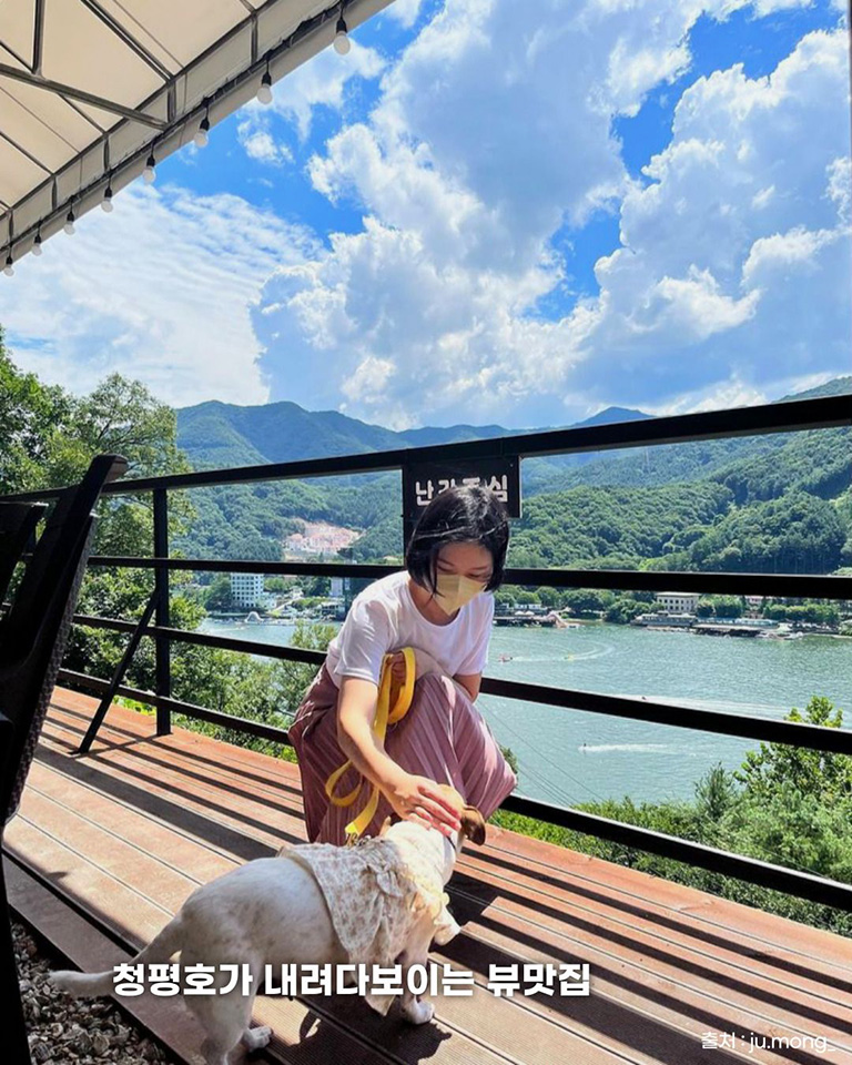 고우다