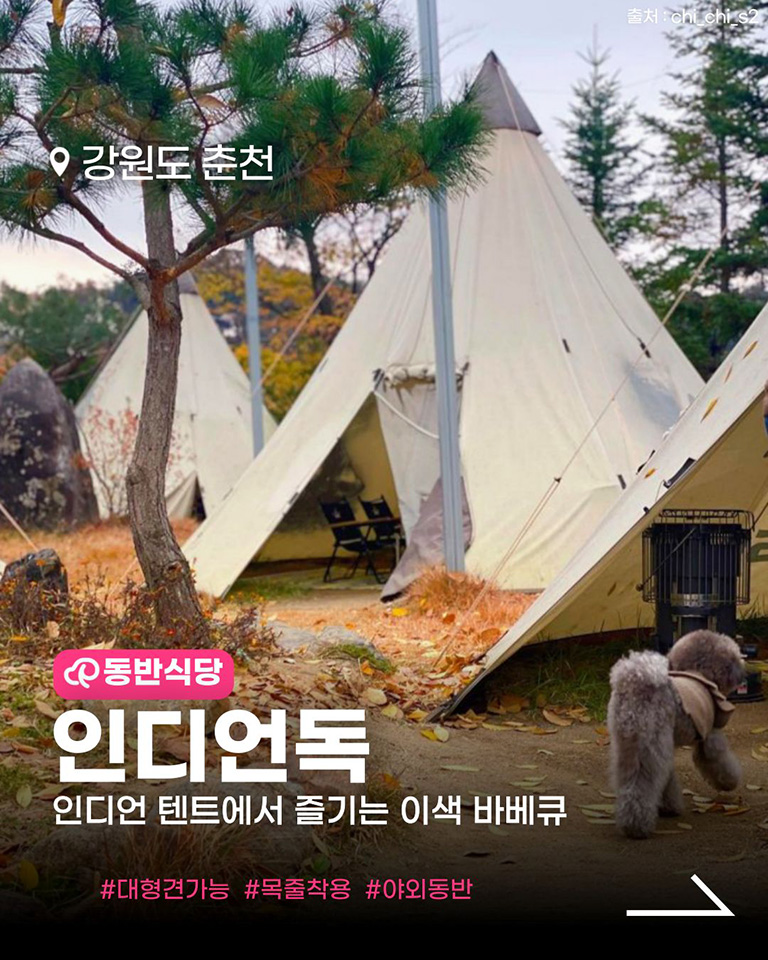 인디언독