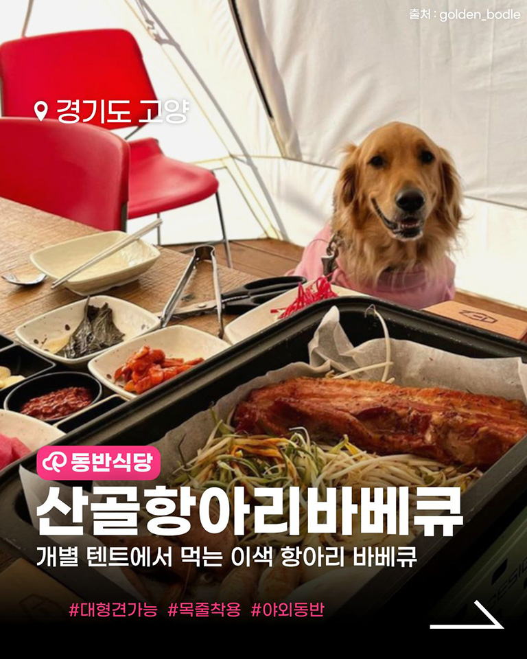 산골항아리바베큐