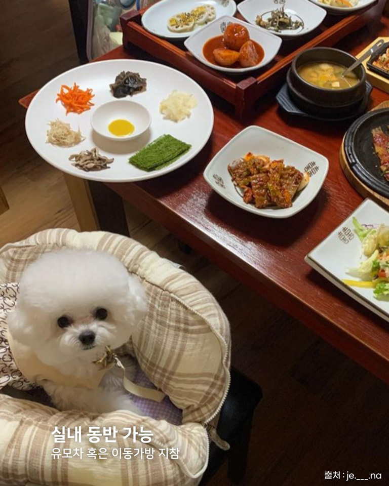 원이쌀밥
