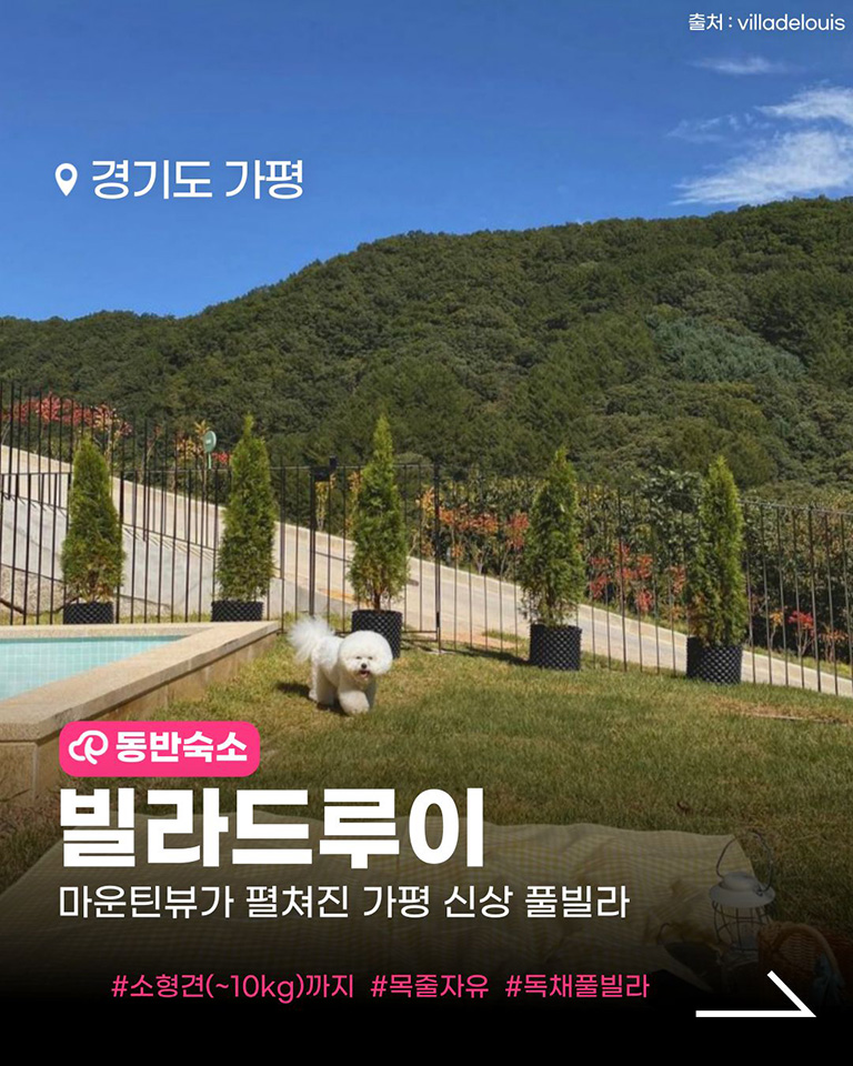 빌라드루이